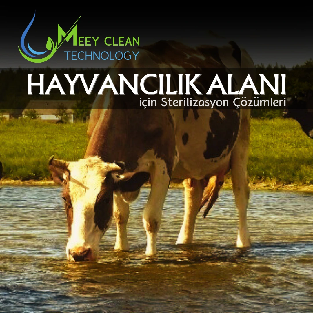 Hayvancılık Alanı için Sterilizasyon Çözümleri